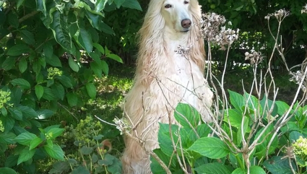 Und wieder hat uns einer verlassen